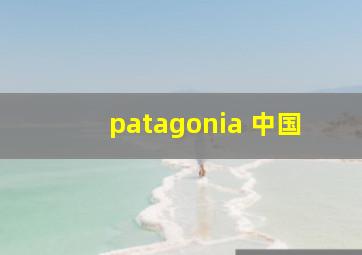 patagonia 中国